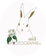 PHOTOGRAPHE LIFESTYLE/MARIAGE/BORDEAUX